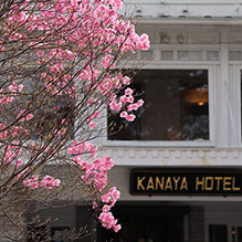 image : Nikko Kanaya Hotel