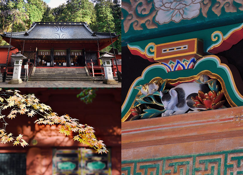 image : Shrines and temples of Nikko