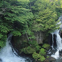 写真：夏の景観