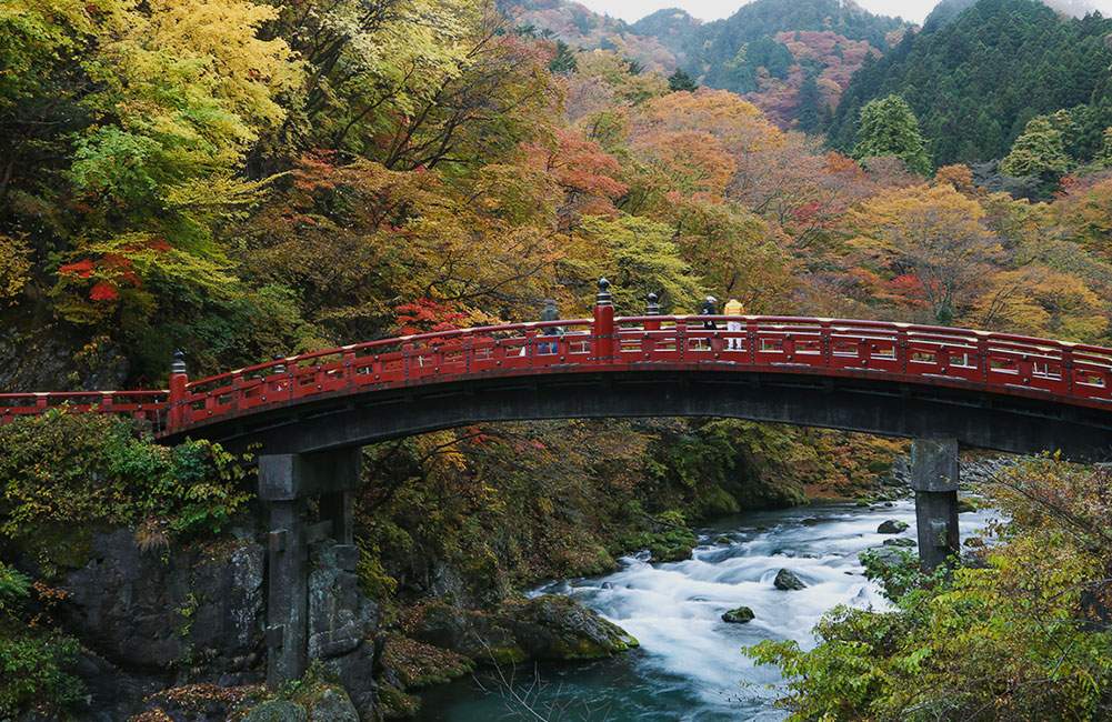 写真：大谷川散策路