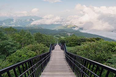 写真：霧降高原