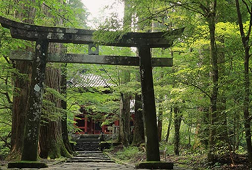 写真：日光エリア 観光地